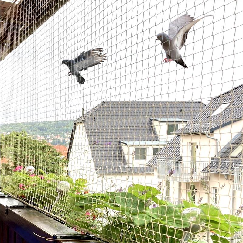 Bird Nets for Apartments Andhra Pradesh